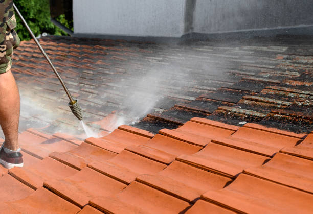 Best Pressure Washing Company Near Me  in Morton, WA