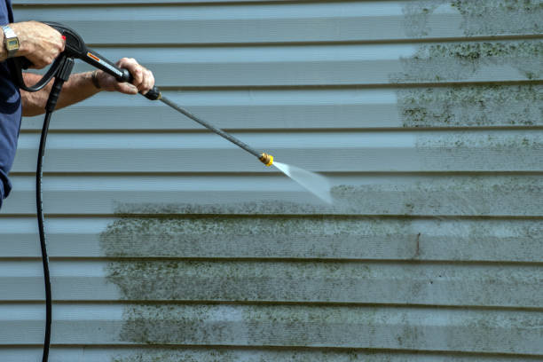 Deck Cleaning Services in Morton, WA