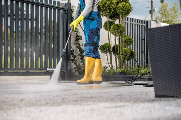 Best Pressure Washing Siding  in Morton, WA