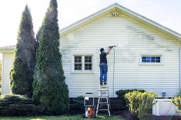 Best Residential Pressure Washing Services  in Morton, WA
